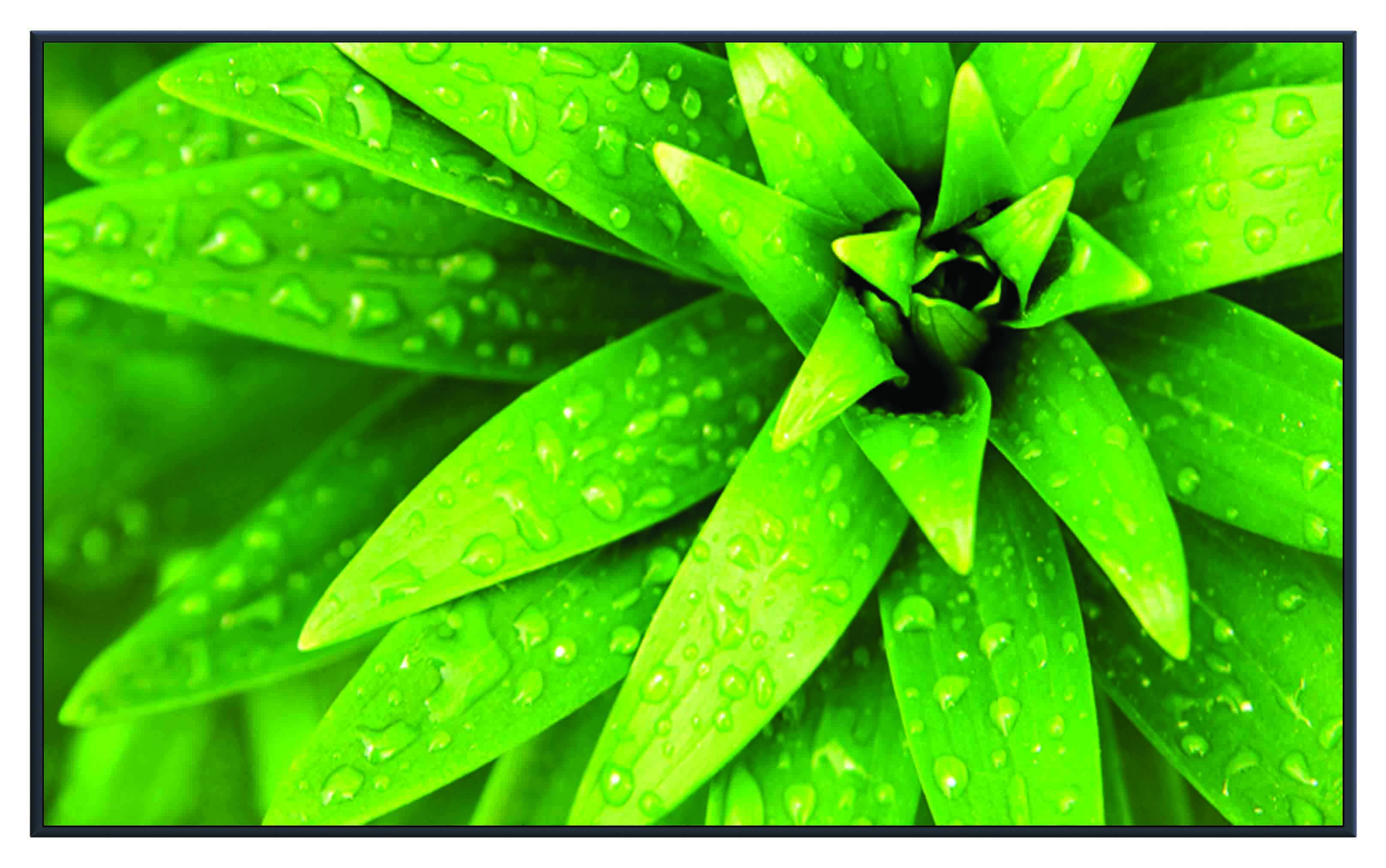 ASG260 Wall décor art printed on glass botanical